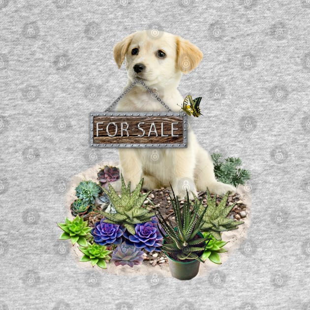 Puppy for sale by Just Kidding by Nadine May